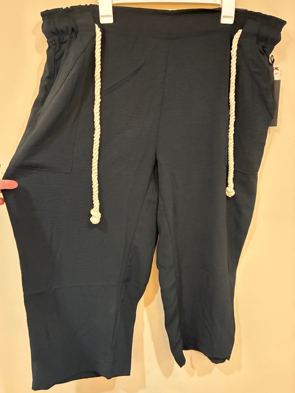 Rachel Zoe Relaxed Black Women's Drawstring Pants 2X